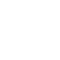 Income Tax